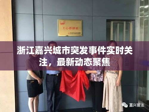浙江嘉兴城市突发事件实时关注，最新动态聚焦