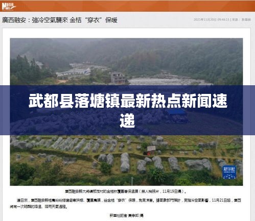 武都县落塘镇最新热点新闻速递