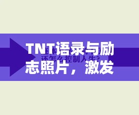 TNT语录与励志照片，激发潜能，成就非凡人生