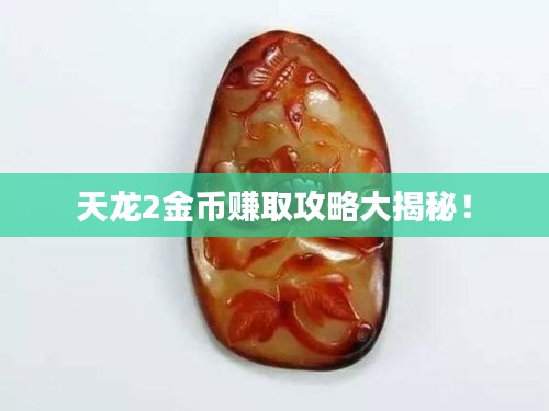天龙2金币赚取攻略大揭秘！