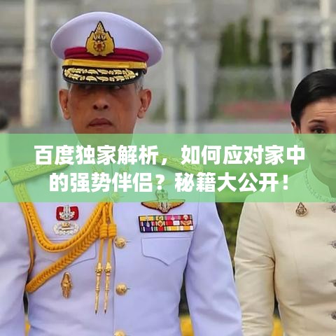 百度独家解析，如何应对家中的强势伴侣？秘籍大公开！