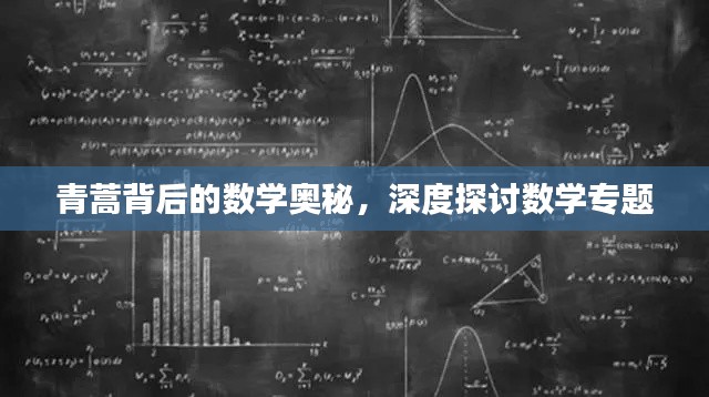 青蒿背后的数学奥秘，深度探讨数学专题