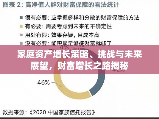 家庭资产增长策略、挑战与未来展望，财富增长之路揭秘