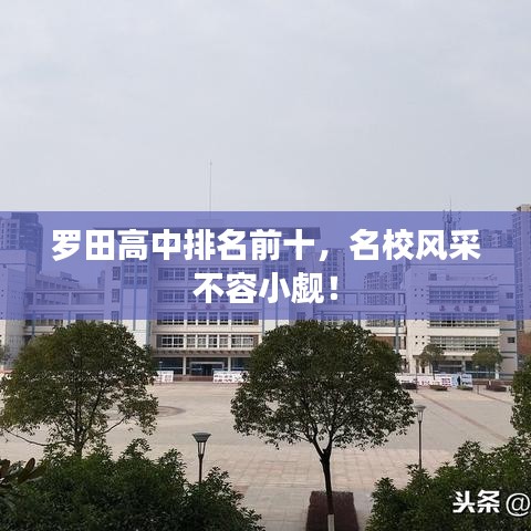 罗田高中排名前十，名校风采不容小觑！