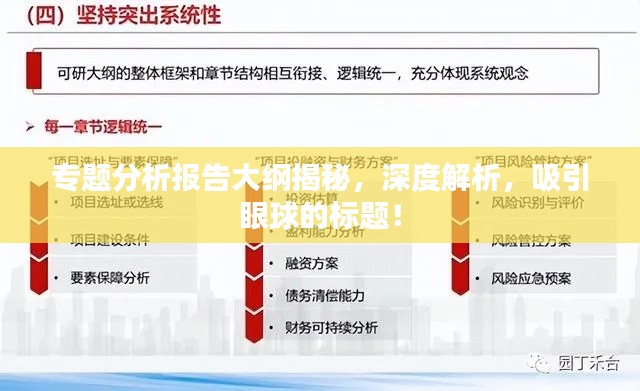 专题分析报告大纲揭秘，深度解析，吸引眼球的标题！