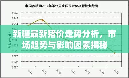 新疆最新猪价走势分析，市场趋势与影响因素揭秘