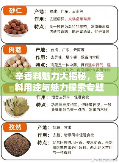 辛香料魅力大揭秘，香料用途与魅力探索专题