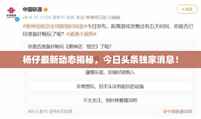 杨仔最新动态揭秘，今日头条独家消息！