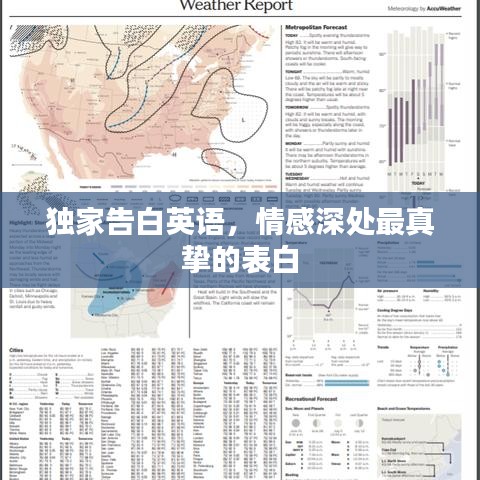 独家告白英语，情感深处最真挚的表白