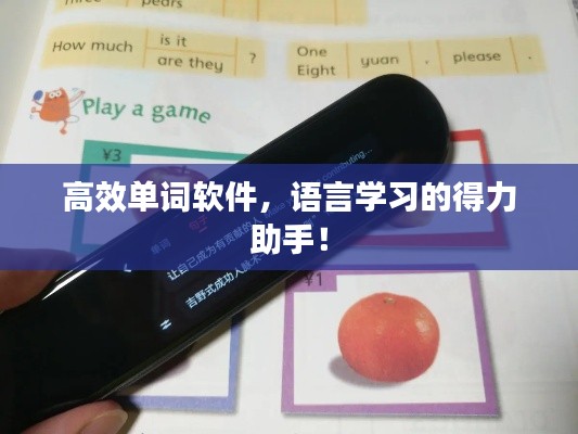 高效单词软件，语言学习的得力助手！