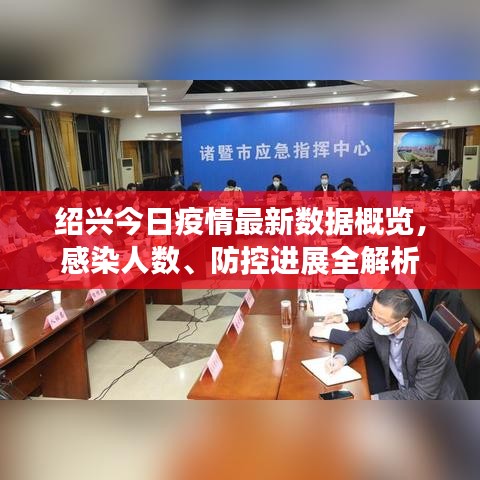 绍兴今日疫情最新数据概览，感染人数、防控进展全解析