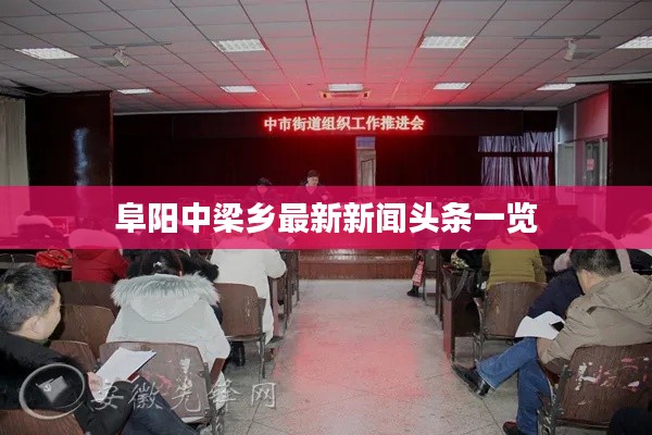 阜阳中梁乡最新新闻头条一览