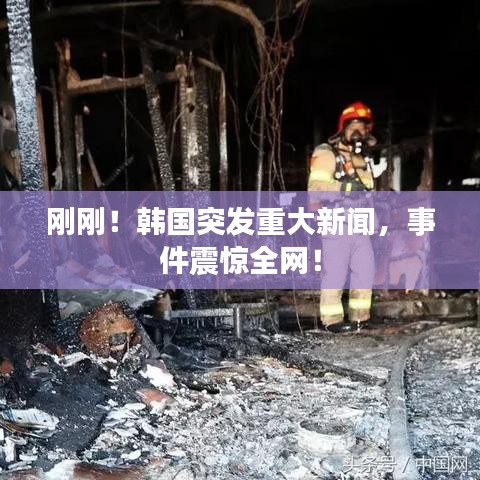 刚刚！韩国突发重大新闻，事件震惊全网！