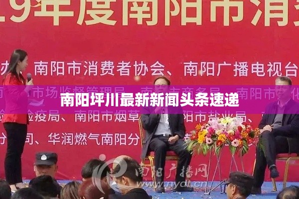 南阳坪川最新新闻头条速递