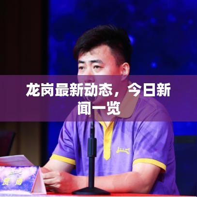 龙岗最新动态，今日新闻一览