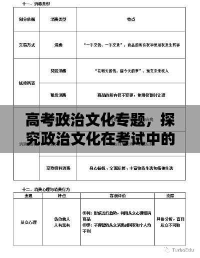 高考政治文化专题，探究政治文化在考试中的核心地位与重要性
