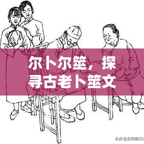 投诉说明 第12页