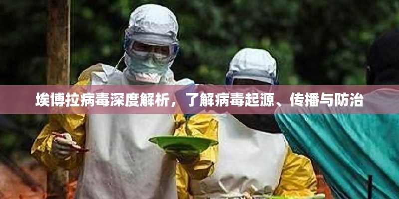 埃博拉病毒深度解析，了解病毒起源、传播与防治