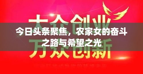今日头条聚焦，农家女的奋斗之路与希望之光