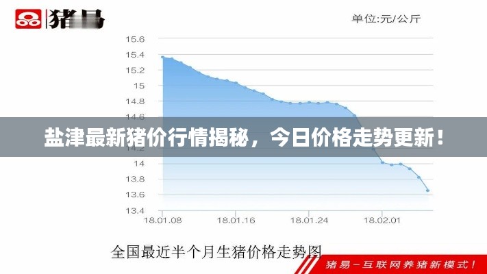 盐津最新猪价行情揭秘，今日价格走势更新！