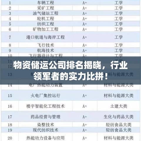物资储运公司排名揭晓，行业领军者的实力比拼！