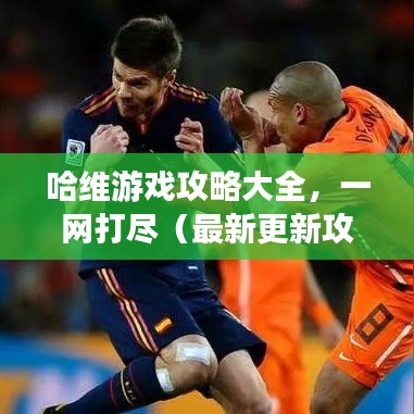 哈维游戏攻略大全，一网打尽（最新更新攻略汇总）