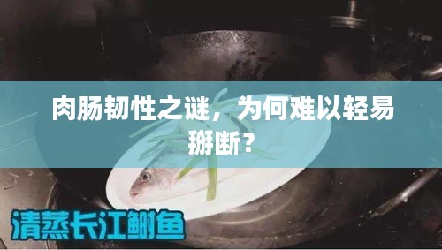 肉肠韧性之谜，为何难以轻易掰断？