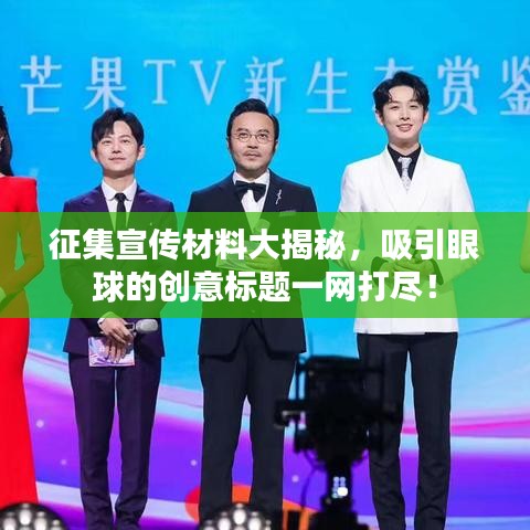 征集宣传材料大揭秘，吸引眼球的创意标题一网打尽！
