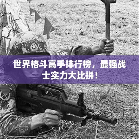 世界格斗高手排行榜，最强战士实力大比拼！