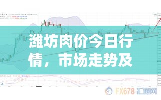 潍坊肉价今日行情，市场走势及影响因素深度解析