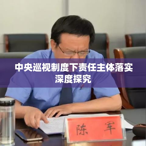 中央巡视制度下责任主体落实深度探究