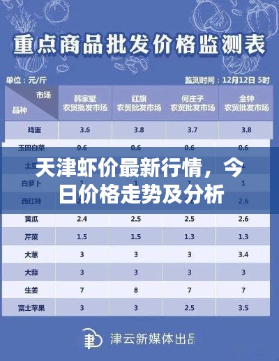 天津虾价最新行情，今日价格走势及分析