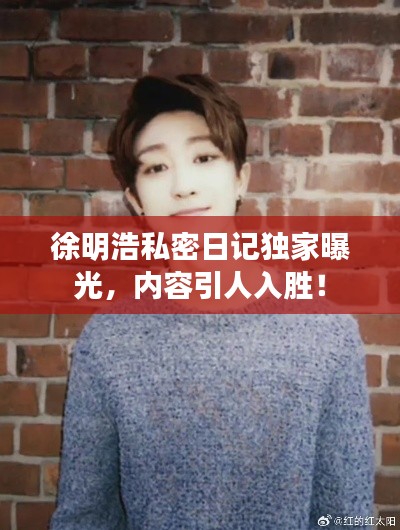 徐明浩私密日记独家曝光，内容引人入胜！