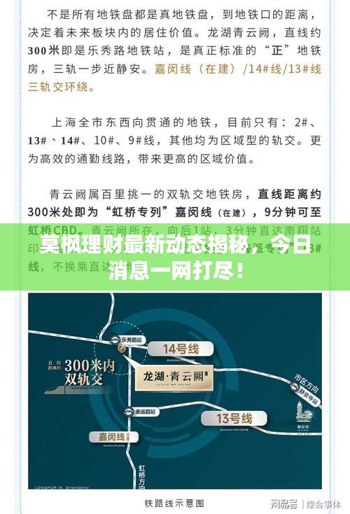 莫枫理财最新动态揭秘，今日消息一网打尽！