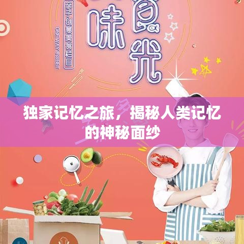 独家记忆之旅，揭秘人类记忆的神秘面纱