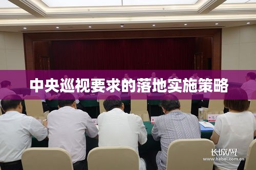 中央巡视要求的落地实施策略