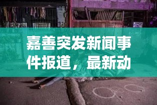 嘉善突发新闻事件报道，最新动态一网打尽！