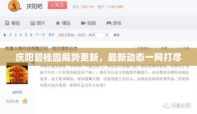 庆阳碧桂园局势更新，最新动态一网打尽