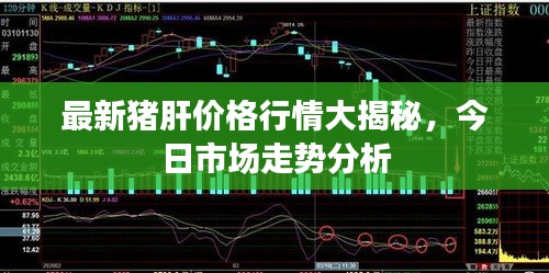 最新猪肝价格行情大揭秘，今日市场走势分析