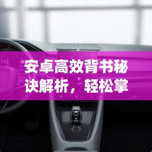 安卓高效背书秘诀解析，轻松掌握背书技巧！