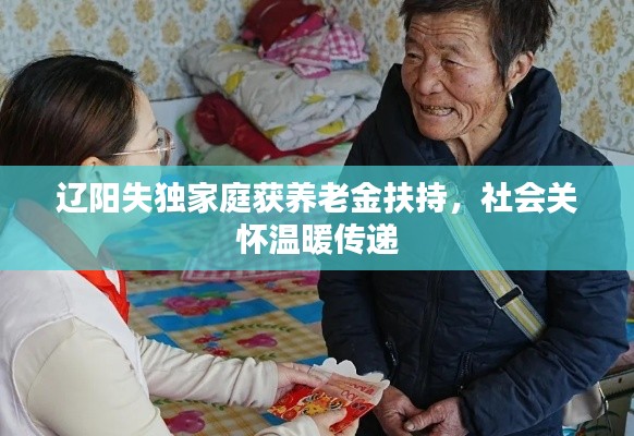 辽阳失独家庭获养老金扶持，社会关怀温暖传递