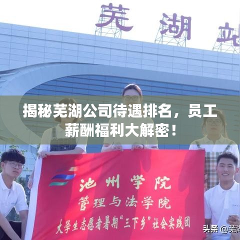 揭秘芜湖公司待遇排名，员工薪酬福利大解密！