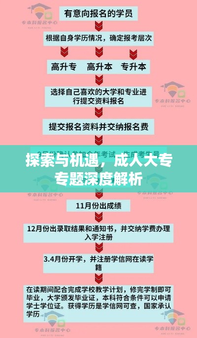 探索与机遇，成人大专专题深度解析