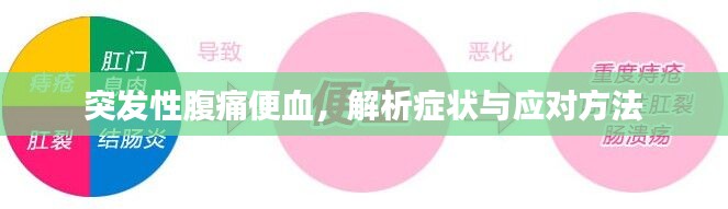投诉说明 第9页