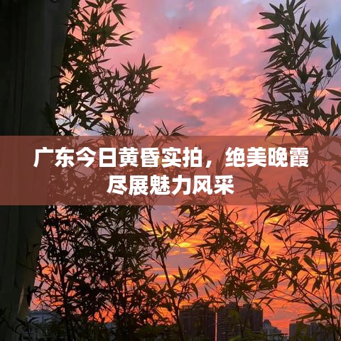 广东今日黄昏实拍，绝美晚霞尽展魅力风采