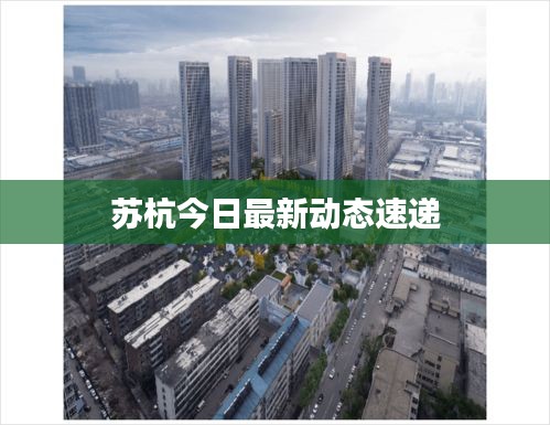 苏杭今日最新动态速递