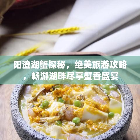 阳澄湖蟹探秘，绝美旅游攻略，畅游湖畔尽享蟹香盛宴