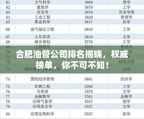 合肥油管公司排名揭晓，权威榜单，你不可不知！