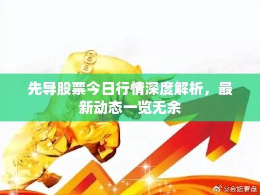 先导股票今日行情深度解析，最新动态一览无余