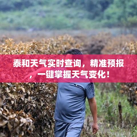 泰和天气实时查询，精准预报，一键掌握天气变化！